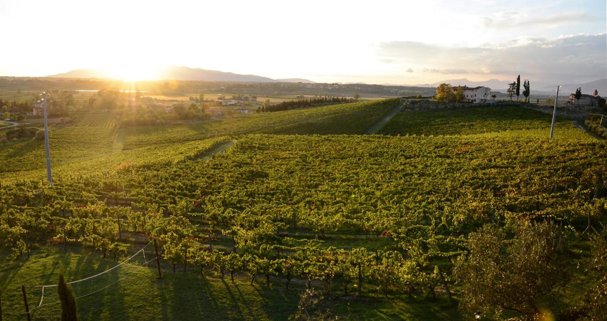 Agriturismo Corte In Poggio Stabbia Экстерьер фото