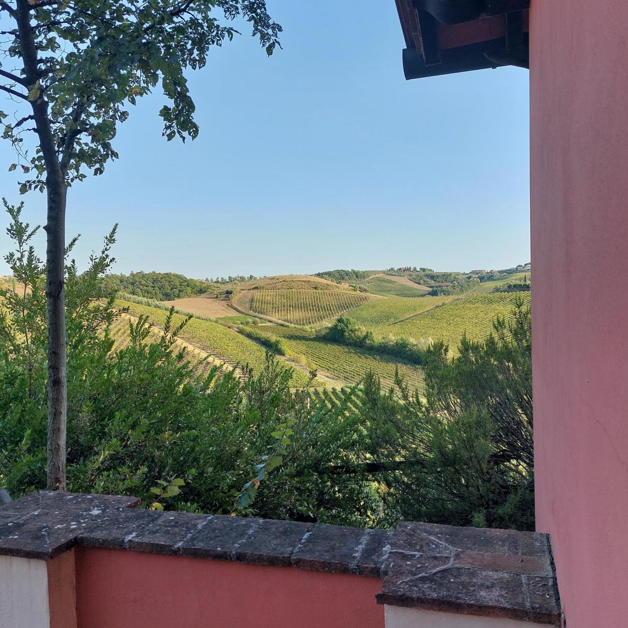 Agriturismo Corte In Poggio Stabbia Номер фото